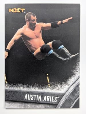 6 - Austin Aries