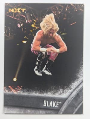 8 - Blake