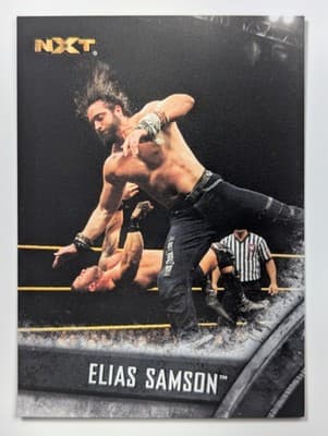 10 - Elias Samson