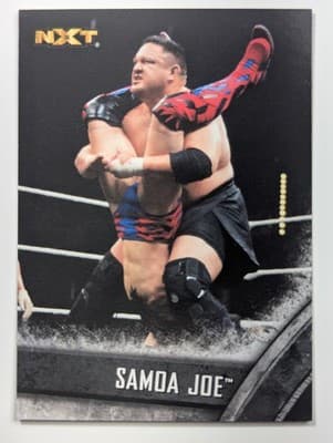18 - Samoa Joe