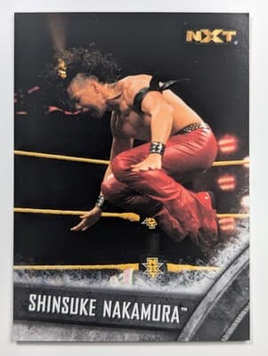 21 - Shinsuke Nakamura