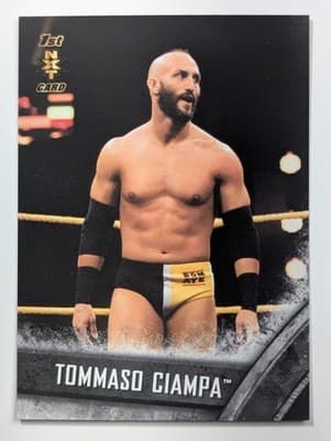 22 - Tommaso Ciampa