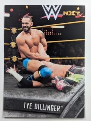 23 - Tye Dillinger