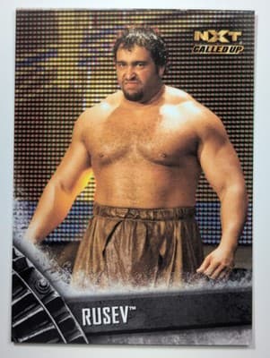 29 - Rusev