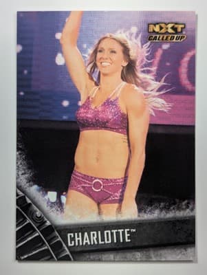 33 - Charlotte