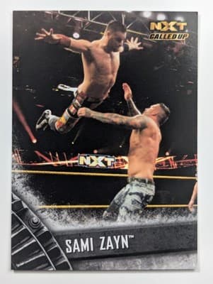 36 - Sami Zayn