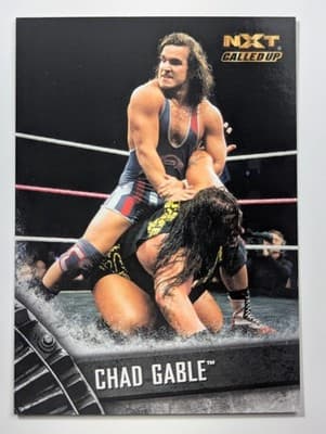 45 - Chad Gable