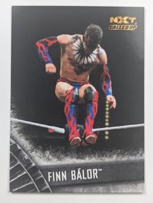 46 - Finn Balor