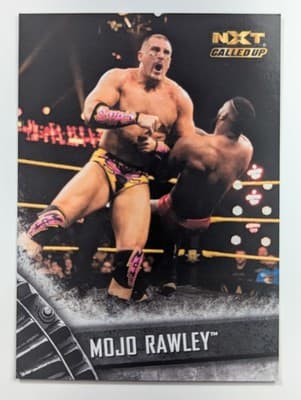 48 - Mojo Rawley