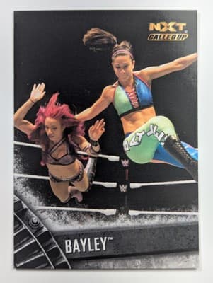 50 - Bayley
