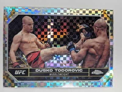 63 - Dusko Todorovic - Middleweight